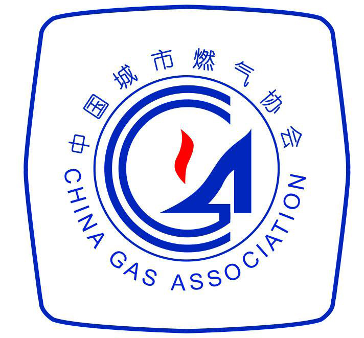 受邀参与中国城市燃气协会标准电子温压修正膜式燃气表编制